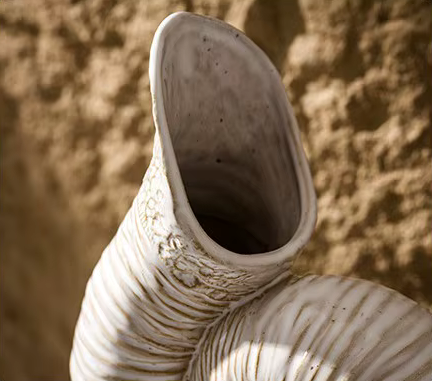 Awesome Ammonite Sea Shell Ceramic Vase