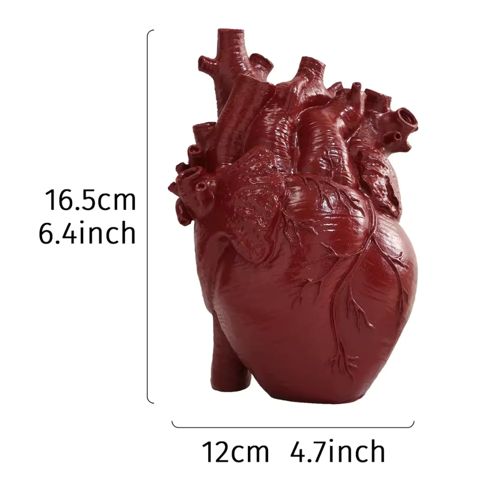 Novelty White Ceramic Anatomical Heart Small VASE - Also in Red