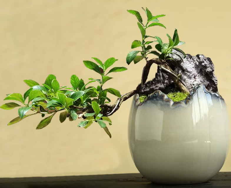 Unusual Olive Green Ceramic Vase or Flowerpot