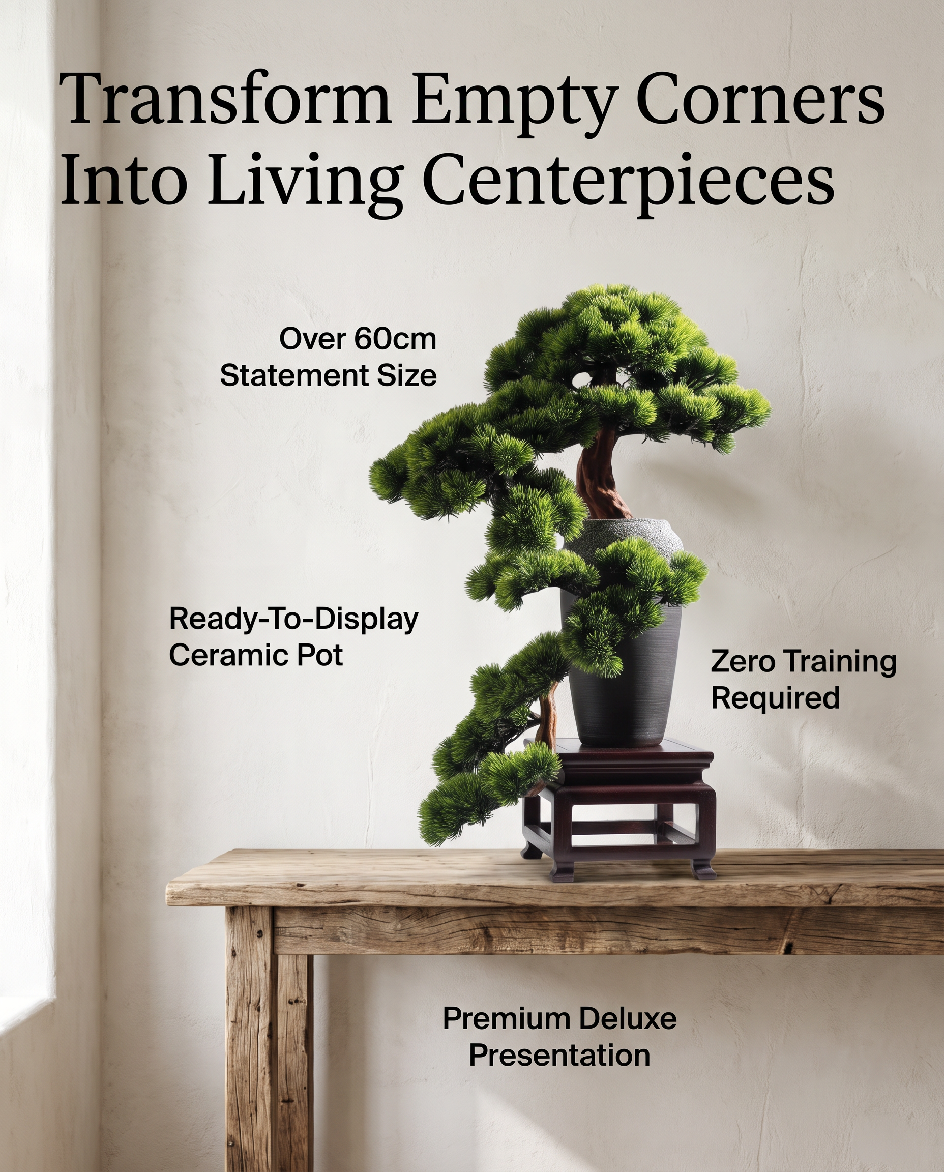 High End Large Chinese Welcoming Pine BONSAI in Pot