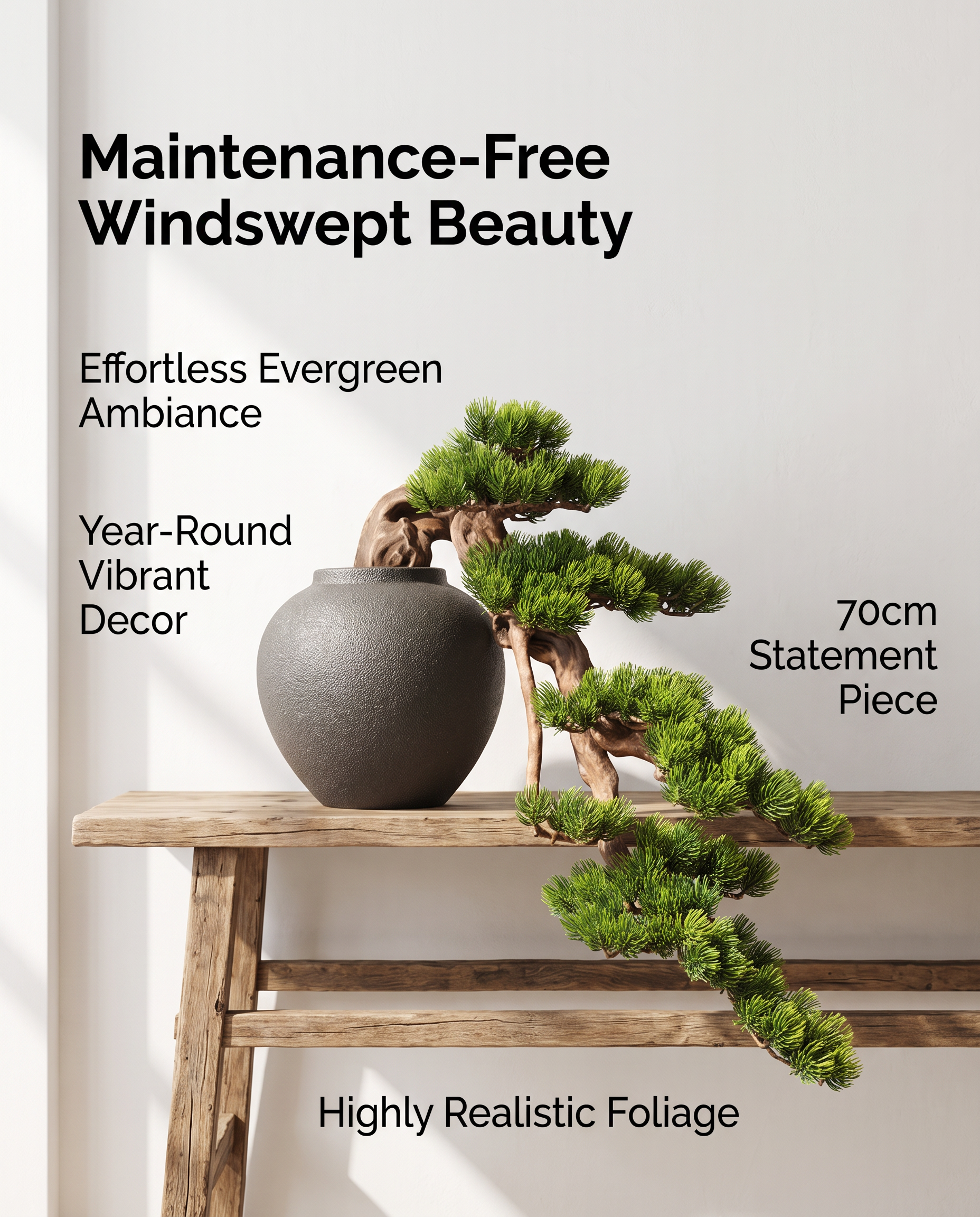 Dramatic Cliff Welcoming Pine Bonsai Tree in Pot