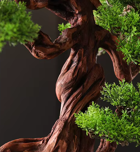 Potted Deluxe Welcoming Pine Bonsai Tree