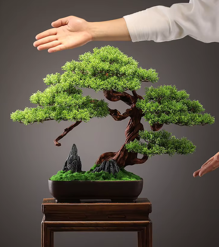 Potted Deluxe Welcoming Pine Bonsai Tree